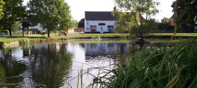Copy of Copy of village pond2 Copy of Copy of village pond2