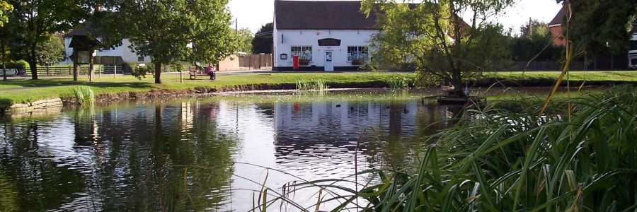 Copy of Copy of village pond2 Copy of Copy of village pond2