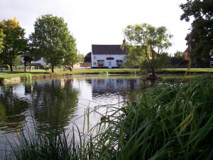 hanley swan, worcester village pond project